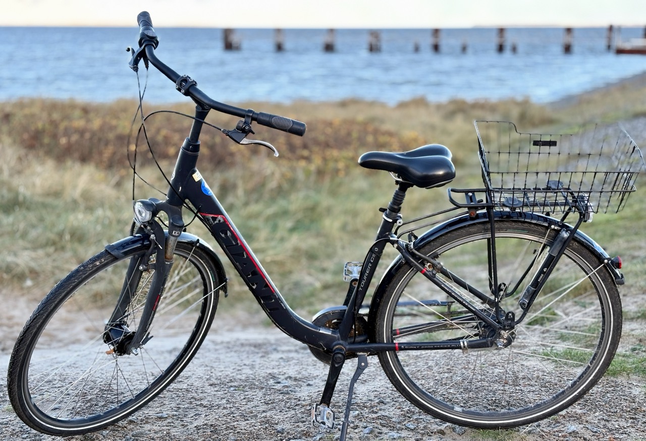 City Comfort 28 Zoll Tagestourer