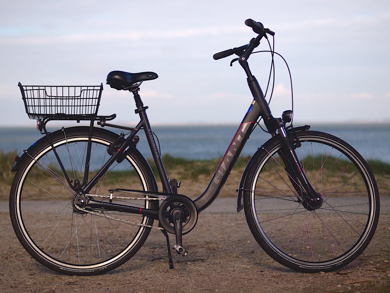 Giant 28 Zoll Damenrad